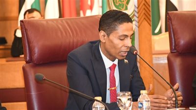 عضو المكتب السياسي للحزب العربي الناصري: أمريكا تدفع بإسرائيل إلى التهلكة