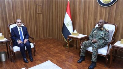 وزير الخارجية: مصر تبذل مساعيها الحثيثة لتحقيق الاستقرار في السودان 
