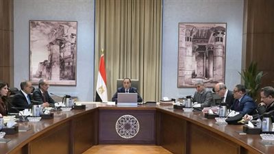 رئيس الوزراء يبحث مقترحات تيسير إنهاء إجراءات وصول السائحين إلى المطارات المصرية