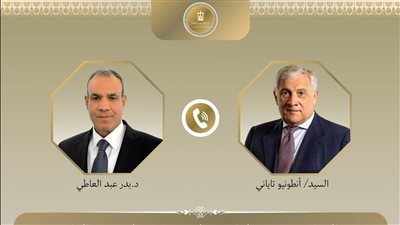    وزير الخارجية يبحث نظيره الإيطالي اتفاق وقف إطلاق النار فى قطاع غرة 