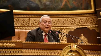 رئيس مجلس الشيوخ: 25 يناير يوم للفخر والاعتزاز برجال الشرطة المصرية البواسل