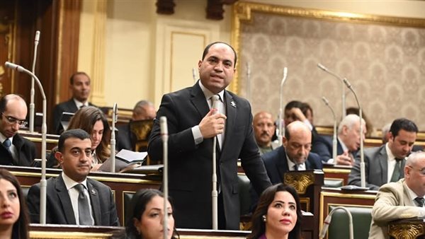 النائب عمرو درويش،