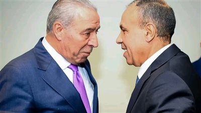 وزير الخارجية يشدد على دعم مصر لحقوق الشعب الفلسطيني الرافض للتهجير أو النقل خارج أراضيه