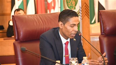 شريف الأسواني: مصر تساند فلسطين وترفض تهجير شعبها وتصفية قضيتها