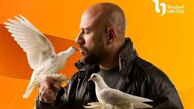 الحمام في يد أحمد مكي: بوستر 