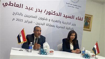 وزير الخارجية: الدولة تولي أقصى درجات الاهتمام والعناية بالجاليات المصرية بالخارج