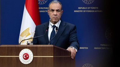 وزير الخارجية: الدولة حريصة على تطوير جسور التواصل مع الجاليات المصرية