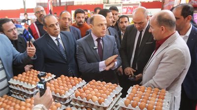 محافظ كفرالشيخ يفتتح معرض 