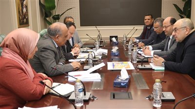 وزيرا الكهرباء وقطاع الأعمال يبحثان التعاون في مجال الطاقة المتجددة والتحول الأخضر