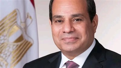 قرار جمهوري بإنشاء مؤسسة جامعية باسم «الجامعات الأوروبية» في مصر