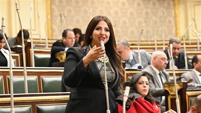 برلمانية: اتفاقيات التنقيب على البترول تبني كوادر وطنية وتدعم الاكتفاء الذاتي للطاقة