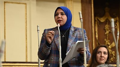 النائبة هيام الطباخ: اتفاقيات البحث عن البترول تساهم في جذب الاستثمارات الأجنبية وزيادة العملة الصعبة