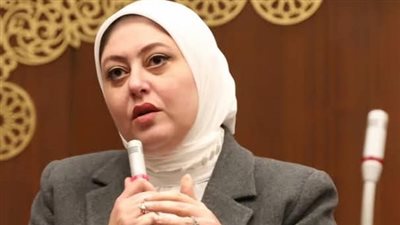 برلمانية تطالب بإستراتيجية للتكامل بين البحث العلمي والقطاعات الإنتاجية