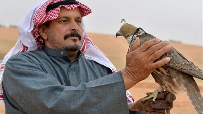 مهرجان الصقور بالقصيم.. منافسة نارية وإقبال جماهيري في أجواء حماسية