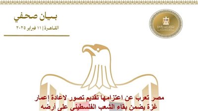 مصر : تصور لاعادة إعمار غزة يضمن بقاء الشعب الفلسطيني على أرضه 