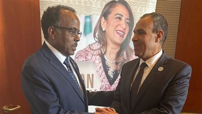 لتعزيز التعاون.. وزير الخارجية يلتقي وزير الدولة للشئون الخارجية الصومالي