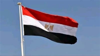 مصر في الصدارة.. أكبر نسبة من المساعدات الإنسانية إلى غزة بتنسيق الهلال الأحمر