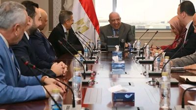 شراكة مصرية سعودية لتنفيذ مشروعات طاقة متجددة بـ10 آلاف ميجاوات
