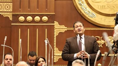 النائب محمد عمارة: تطوير الصناعة يبدأ بالبحث العلمي والتسويق ودعم الصناعات الصغيرة