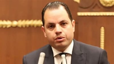 برلماني يطالب الحكومة بتحقيق 100 مليار دولار صادرات لتنفيذ استراتيجية 2030