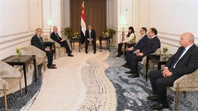 الرئيس السيسي يعزز الشراكة مع 