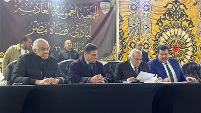المستشار رضا شوكت: قضاء مصر مستقل بالدستور والممارسة الواقعية ويصطف خلف الوطن