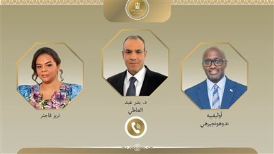 وزير الخارجية يؤكد أهمية وقف التصعيد في منطقة شرق الكونجو 