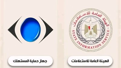 حماية المستهلك تكشف خطتها لضبط الأسواق.. تعرف على التفاصيل