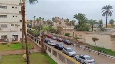 الطقس غدا.. معتدل نهارا بارد ليلا والصغرى بالقاهرة 12