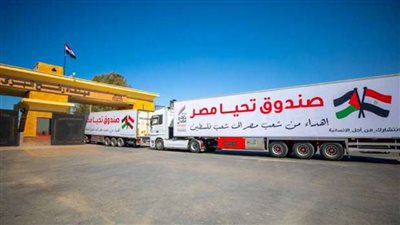 خبير: مصر قدمت دعمًا مستمرًا للفلسطينيين وساهمت في جهود وقف العدوان