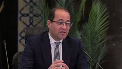 وزير المالية: ندرس إجراءات تحفيزية لتعزيز نمو القطاعات الإنتاجية