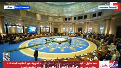 مستشار الرئيس الفلسطيني: القمة العربية بالقاهرة تاريخية بامتياز