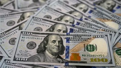 سعر الدولار مقابل الجنيه المصري.. تفاصيل جديدة 