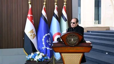 السيسي: السلام هو خيار مصر والدول العربية