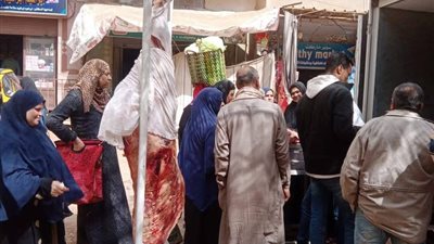 محافظ الدقهلية يطلق قافلة سيارات بيع اللحوم بأسعار مخفضة بميت غمر