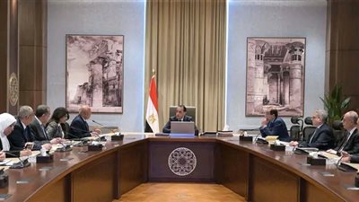 مدبولي: الحكومة تواصل جهودها لتطوير المنظومة الجمركية وتعزيز مكافحة التهريب