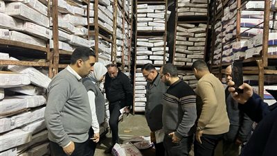 ضبط 10 أطنان لحوم فاسدة فى القليوبية