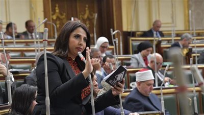 مجلس النواب يقر تعديلات النائبة نشوى الشريف على مشروع قانون العمل الجديد