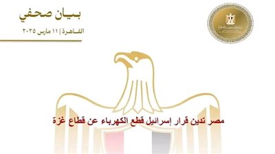 مصر تدين قطع الكهرباء عن قطاع غزة وتطالب المجتمع الدولي بالتدخل