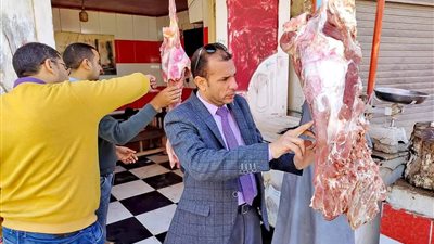 تحرير 79 محضر تمويني متنوع خلال حملات مكبرة بمختلف الوحدات المحلية بسوهاج 