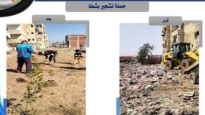 دمياط تزرع شطا بالخضرة بعد تنظيفها من المخلفات.. حملة تشجير واسعة النطاق