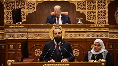 النائب محمود تركي: تحقيق العدالة الاجتماعية يبدأ بتحويل الحماية من دعم إلى تمكين حقيقي