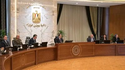 10قرارات حاسمة من مجلس الوزراء لتحفيز الاقتصاد وتطوير القطاعات الحيوية في مصر