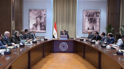 رئيس الوزراء يتابع توفير احتياجات مشروعات التنمية الزراعية بالدلتا وسيناء