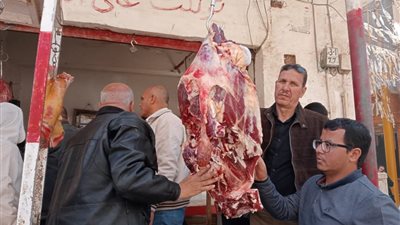 ضبط 106 مخالفات خلال حملات تفتيشية تموينية مكبرة على الأسواق والمخابز بالمنيا 
