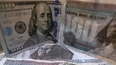 سعر الدولار مقابل الجنيه المصري اليوم الثلاثاء 25 مارس 2025 في البنوك