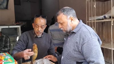 محافظ المنيا يوجه بتكثيف الحملات التموينية لضبط الأسواق خلال أيام عيد الفطر