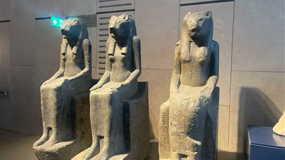 24 ألف قطعة أثرية تروي قصة مصر في المتحف المصري الكبير