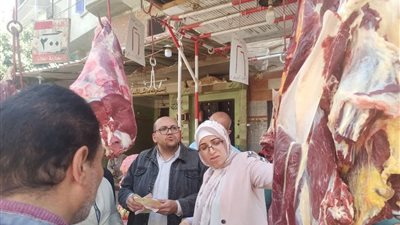 بيطري المنيا : ضبط 3 أطنان لحوم غير صالحة للاستهلاك خلال مارس الماضى