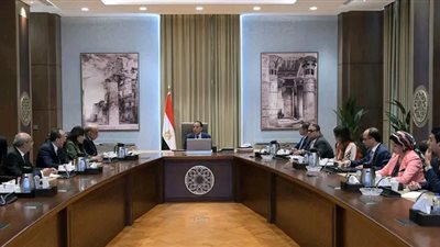 مدبولي يوجه بتعزيز الطروحات بقطاع الطاقة لجذب الاستثمارات وتعظيم دور القطاع الخاص
